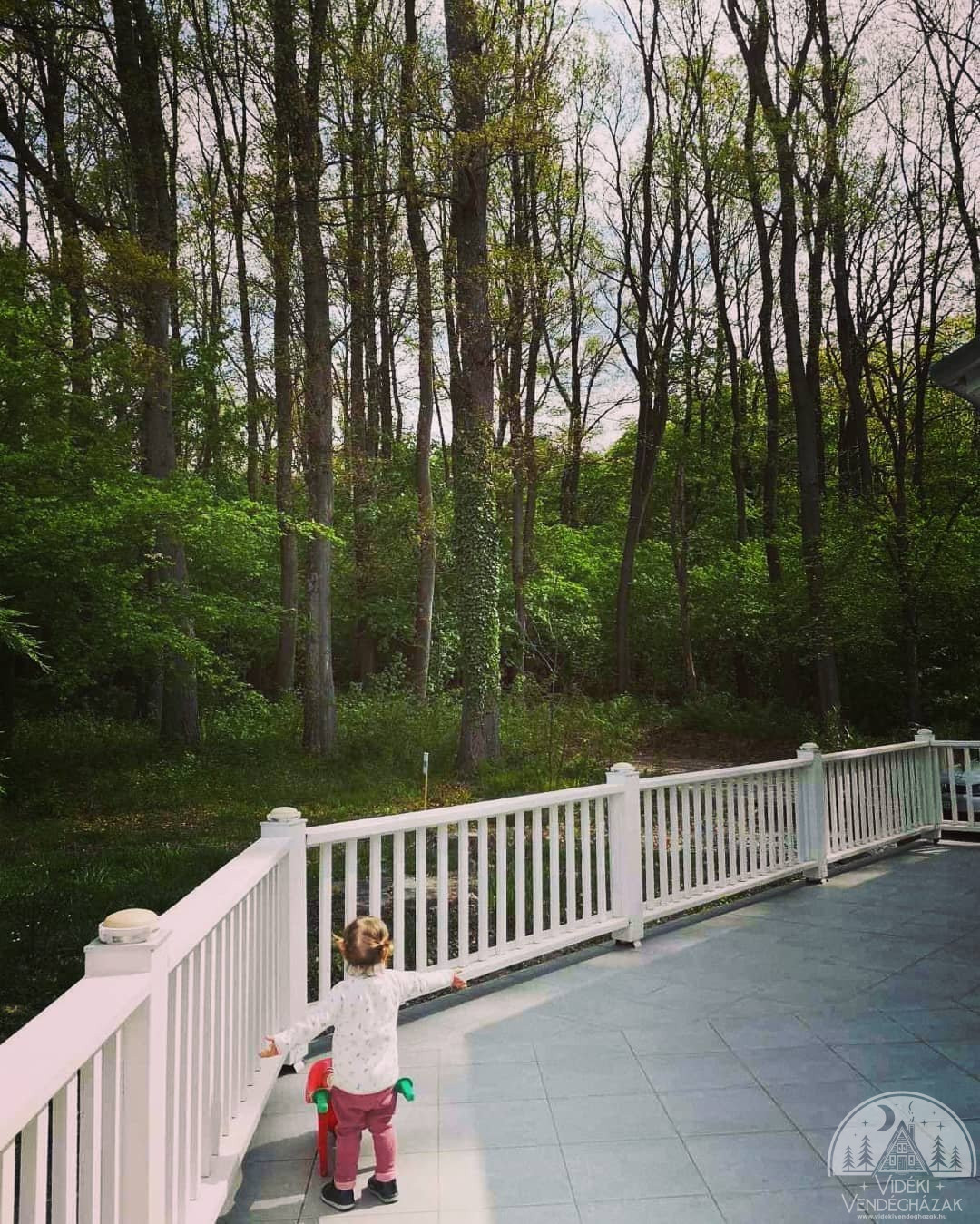 285824387_1667578013603261_7074133650434402355_n