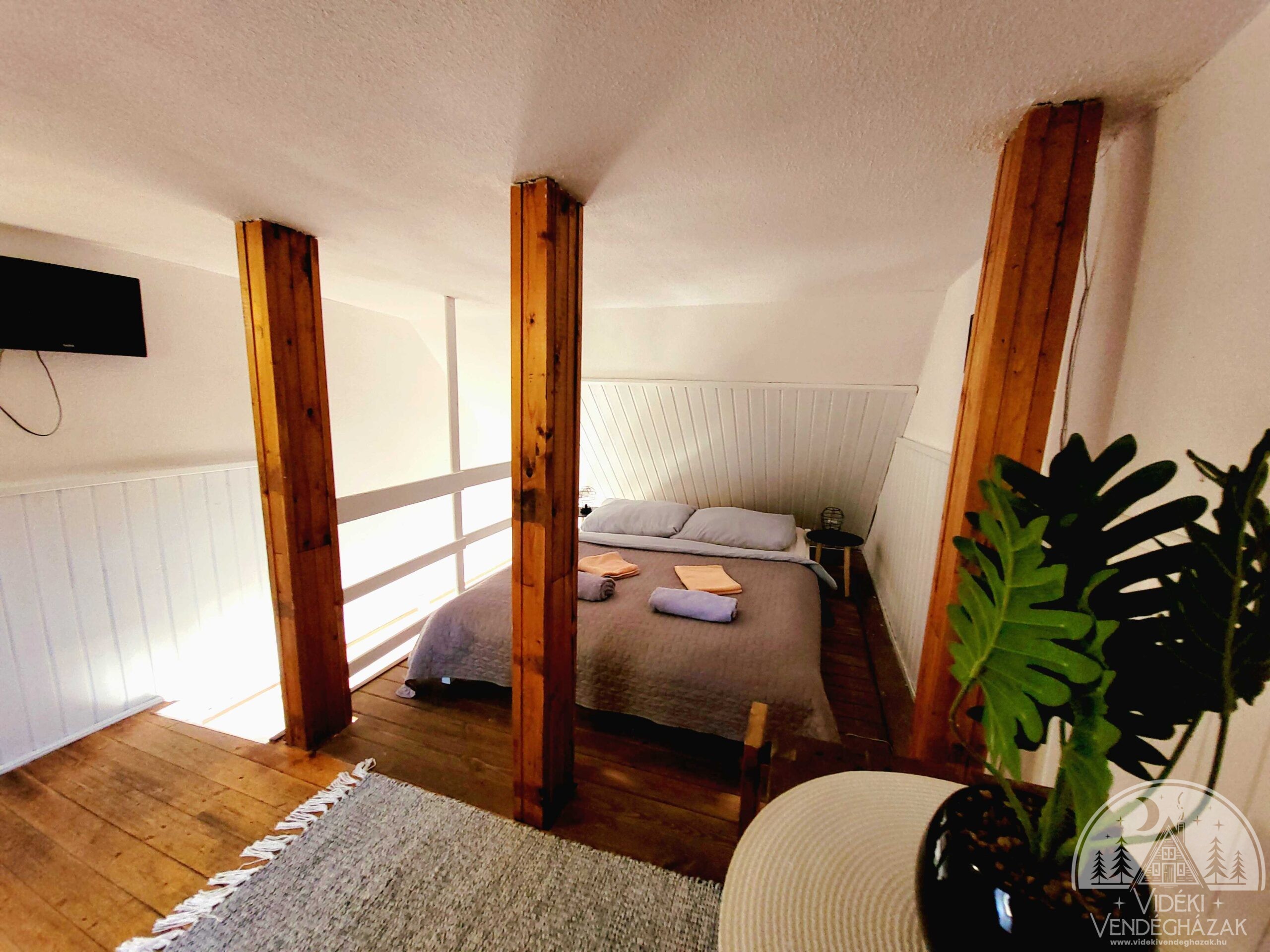 20230405_161906_optimized