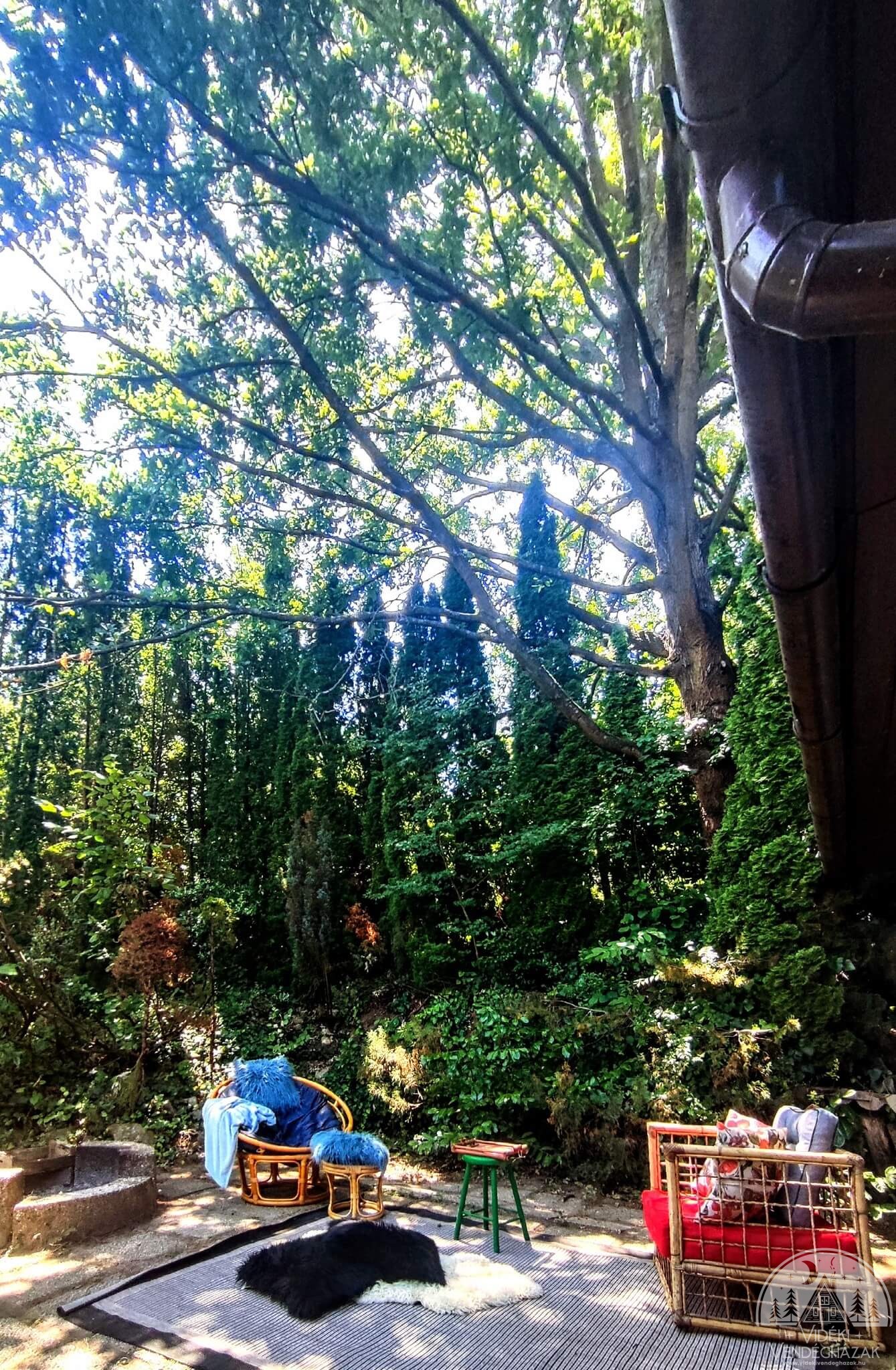 362270492_222914754045671_3298806946307914299_n