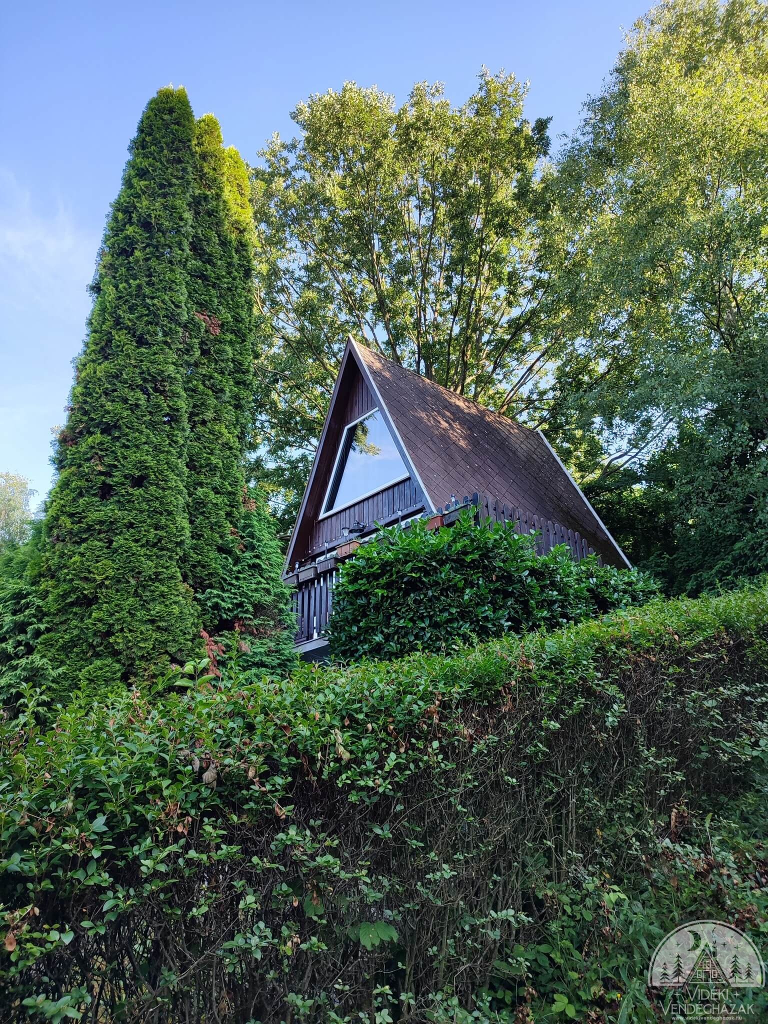 362293640_222904850713328_1145667415877934360_n