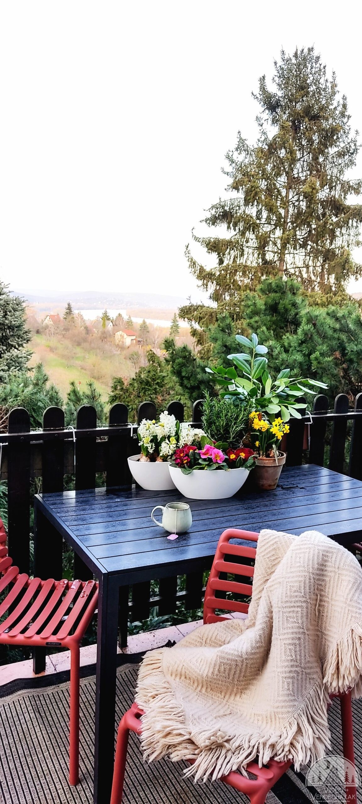 437986607_385826257754519_1979445344674445508_n