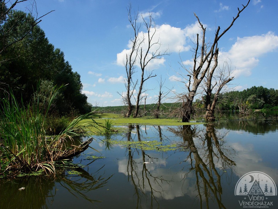 488492773_1190006206466546_2658492735778999699_n