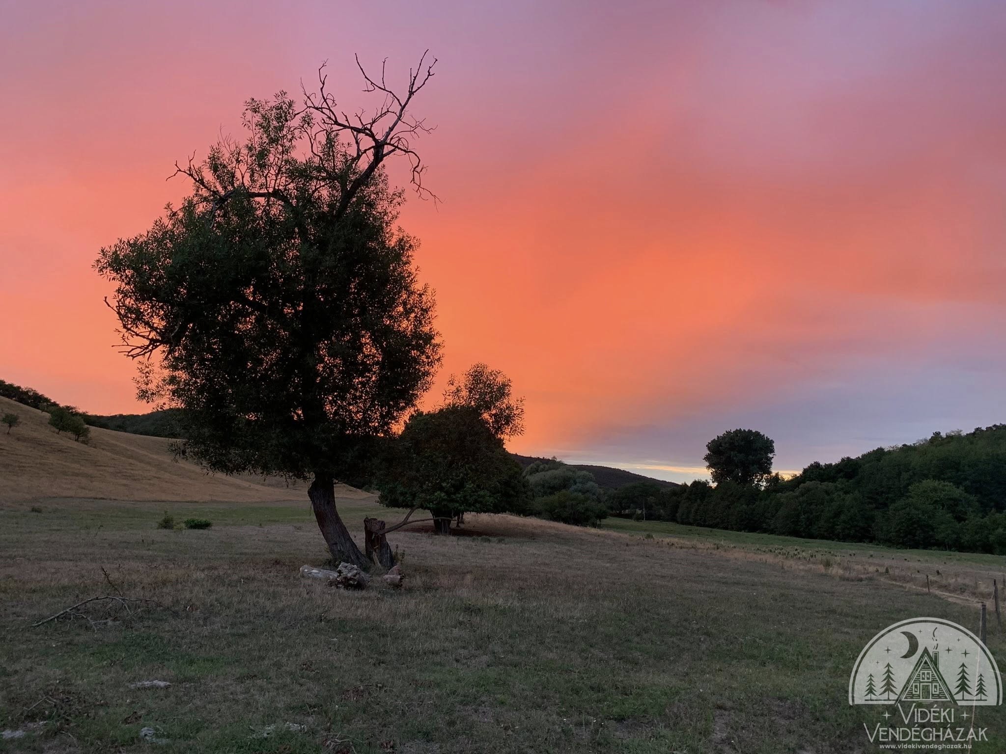 615818379_25814037408228970_8534454872041846476_n