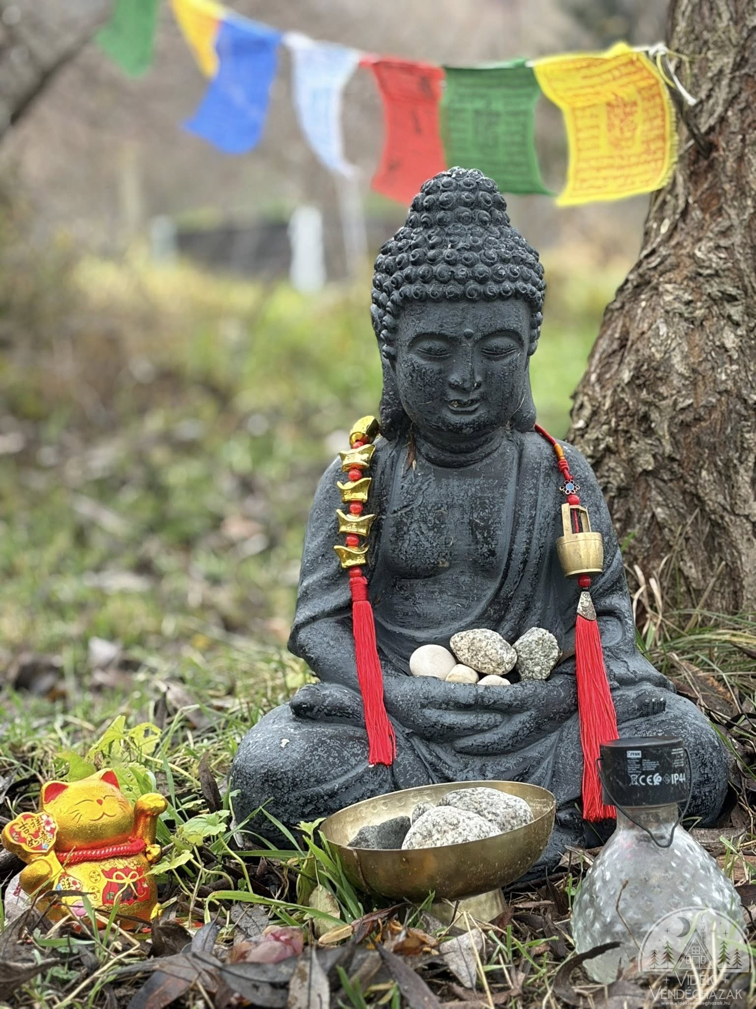 616765864_25814036978229013_2324136355066966543_n